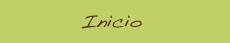 Inicio